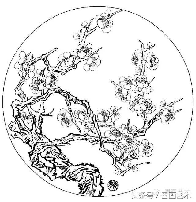 100幅白描梅花绘画手稿,练笔用