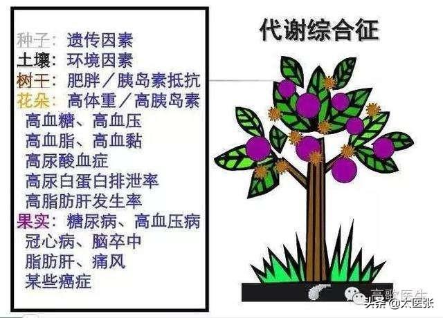 代谢综合征是一组以肥胖,高血糖(糖尿病或糖调节受损,血脂异常[指高