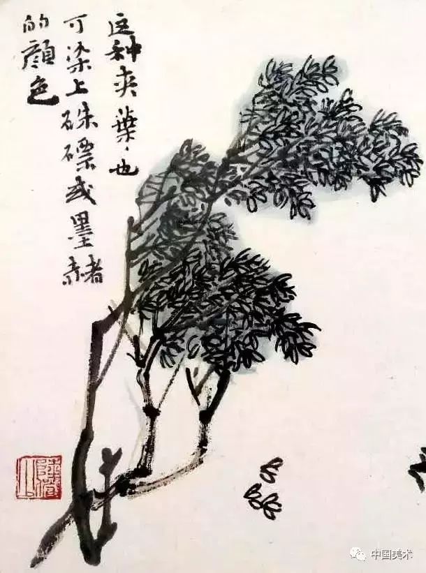 松树,榆树,桦树,枣树10几种树的画法合集,附带字形画法收藏