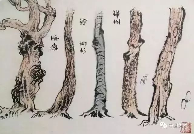 松树,榆树,桦树,枣树10几种树的画法合集,附带字形画法收藏