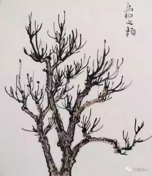 松树,榆树,桦树,枣树10几种树的画法合集,附带字形画法收藏