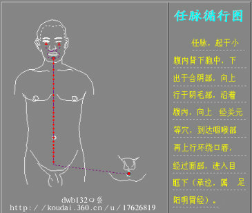 脉循行路线示意:起胞中 → 会阴 → 腹里 → 胸腹正中 → 咽喉 →上唇