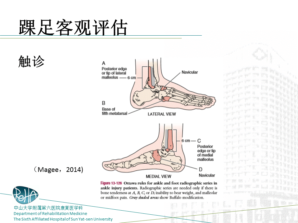 踝关节与足部的物理评估