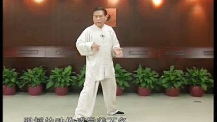 赵幼斌杨氏太极拳85式0121