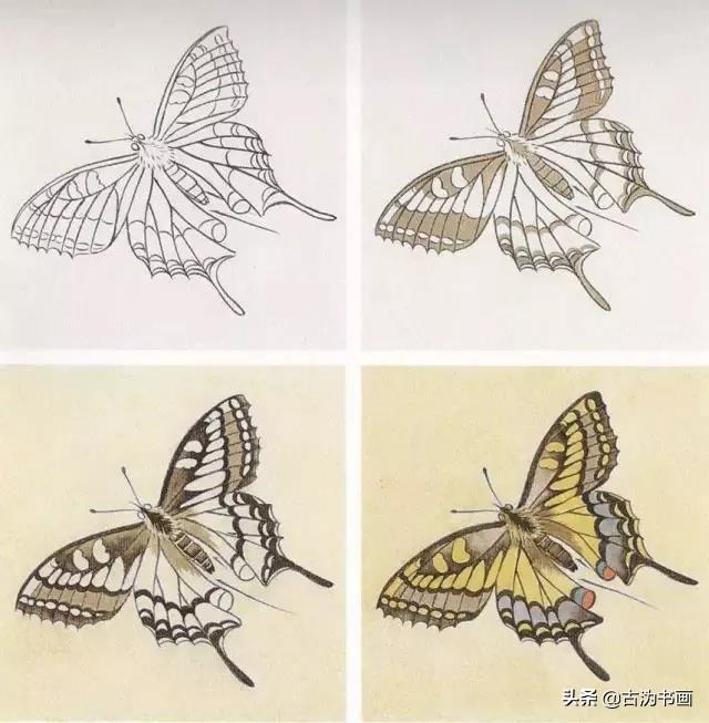 14种花蝴蝶,工笔画法