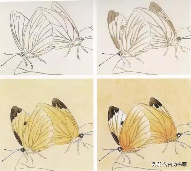 14种花蝴蝶,工笔画法