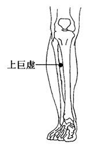 憋便很难受三个穴位按一按排便是飞一样