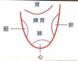 舌与脏腑经络之间的关系 舌诊诀句 舌头看病症大全 观舌识病(舌诊图解