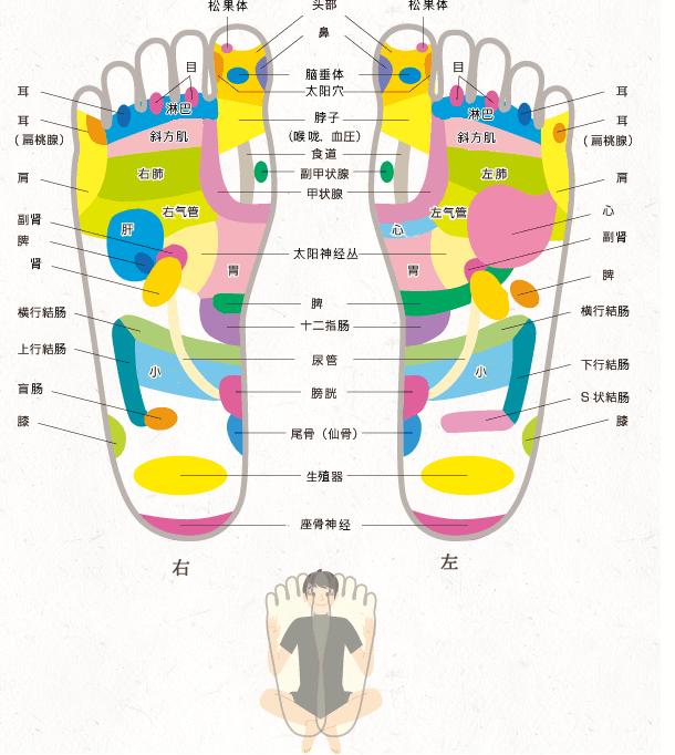 教你自己给自己做个足底按摩!