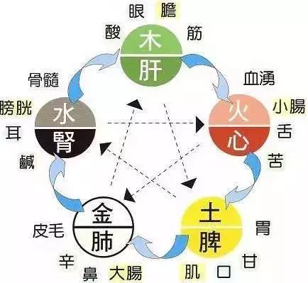 在中医的理论中,人的五官是人体五脏的反射区,在中医经典《黄帝内经