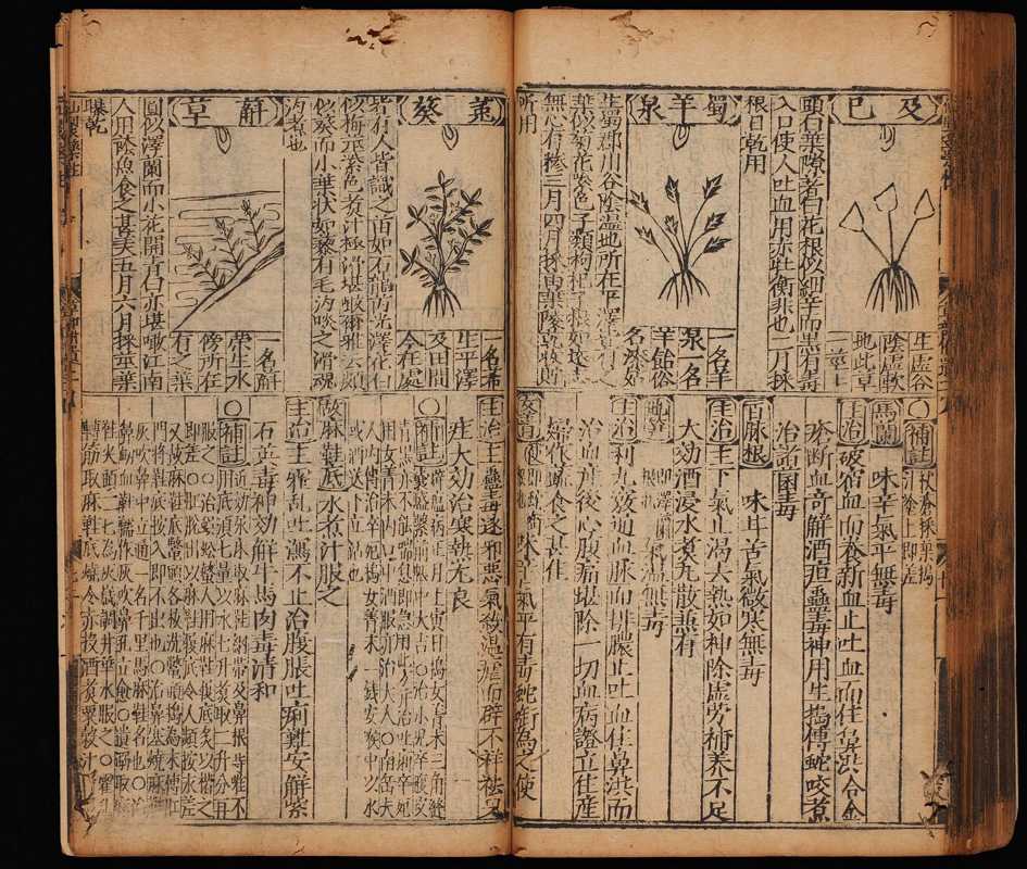 中医古籍《新刻太乙仙制本草药性大全》中