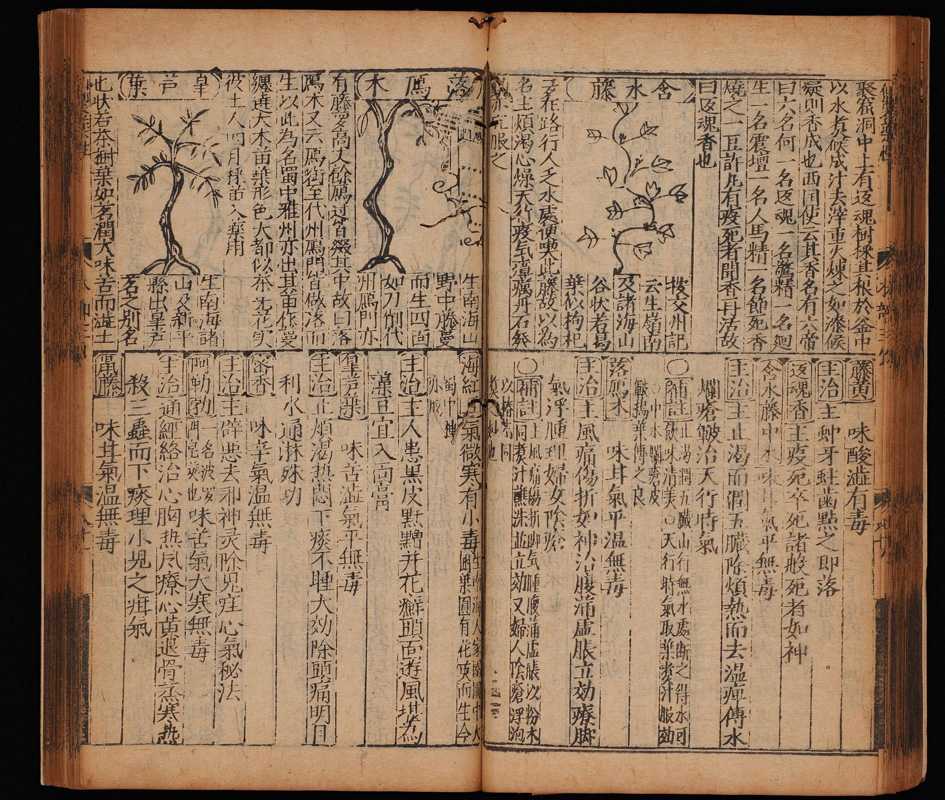 中医古籍《新刻太乙仙制本草药性大全》中