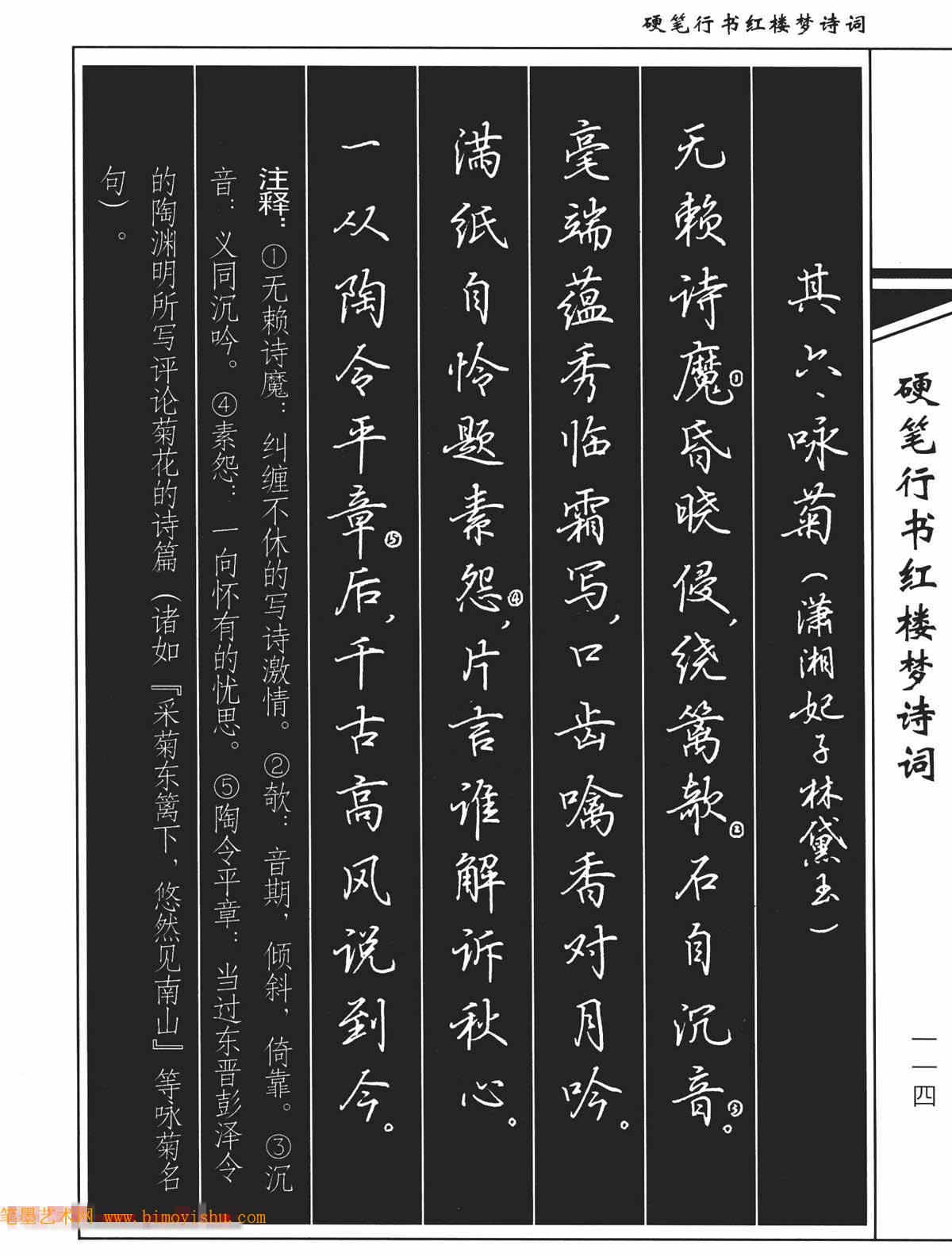 〖硬笔字帖〗吴玉生钢笔字帖欣赏《硬笔行书红楼梦诗词》