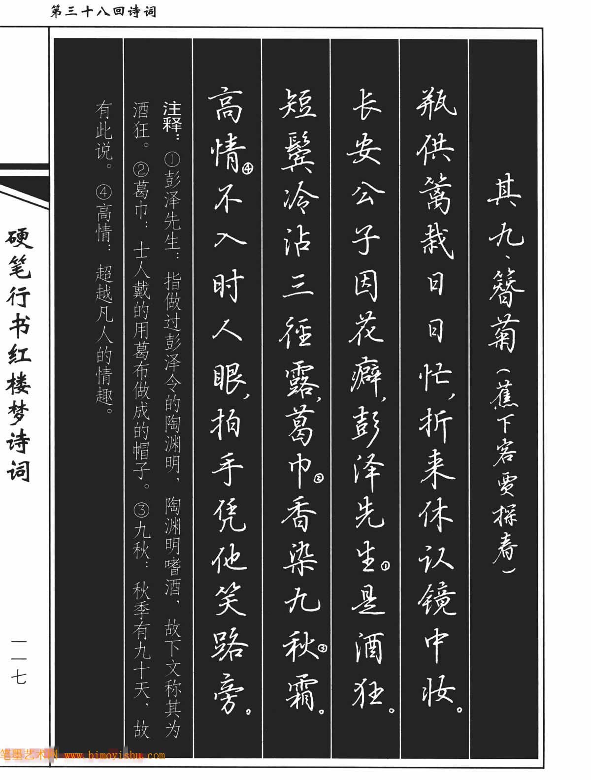 〖硬笔字帖〗吴玉生钢笔字帖欣赏《硬笔行书红楼梦诗词》