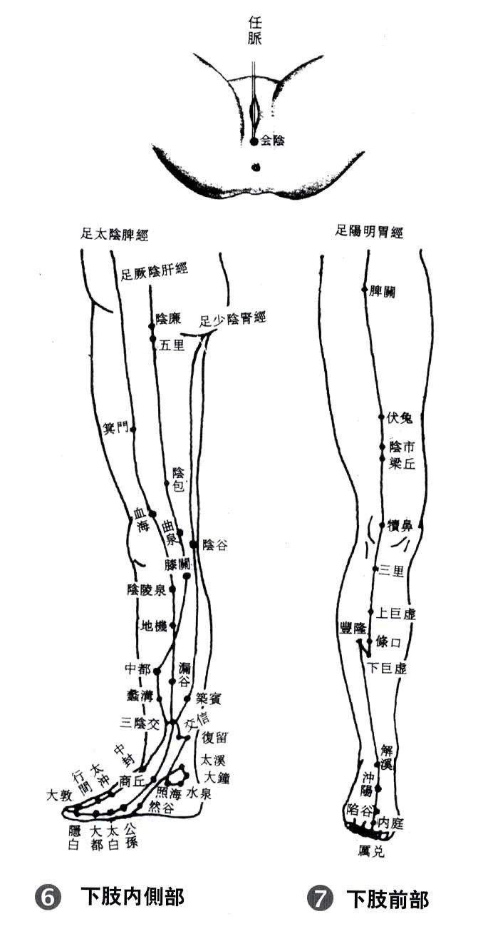 人体下肢穴位