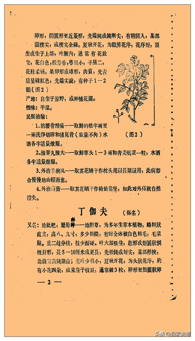 中医类旧书残本闽南民间草药