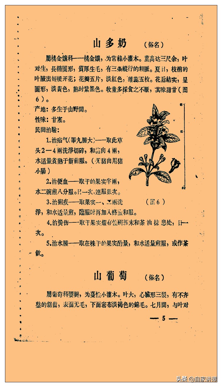 中医类旧书残本闽南民间草药