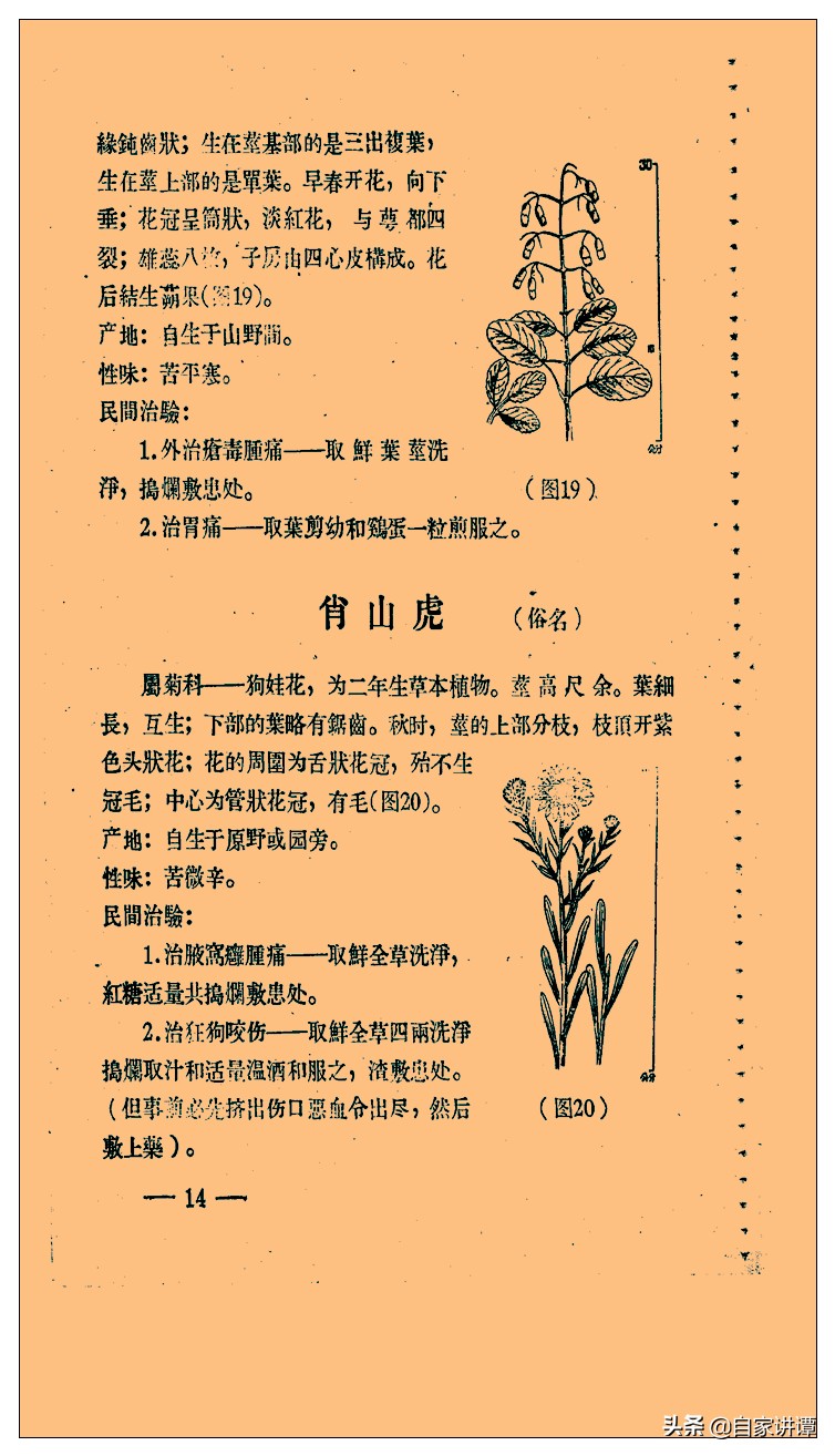 中医类旧书残本闽南民间草药