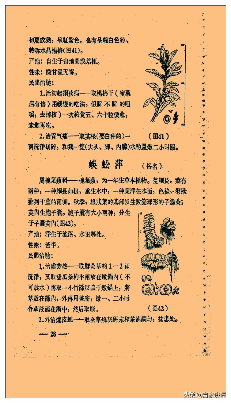 中医类旧书残本闽南民间草药