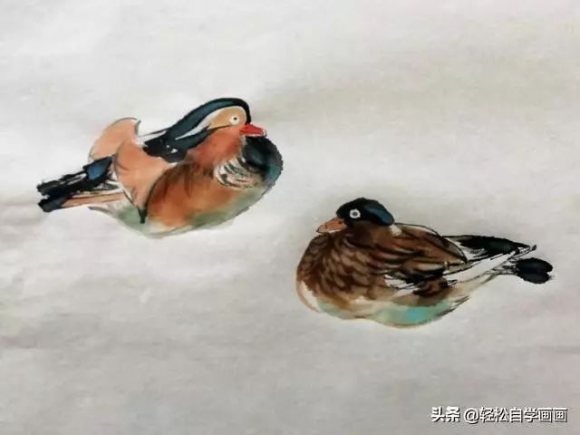 学花鸟画一定要会画鸳鸯,看着复杂,告诉你方法就简单了!