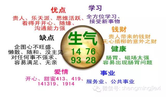 八星数字磁场解析