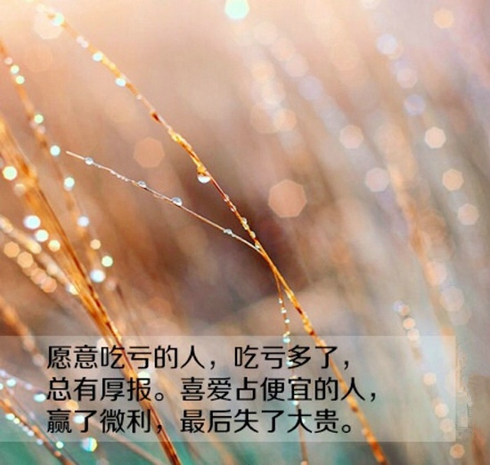 唯美句子:缘来缘去两相错,情来情去情无果,情到深处情