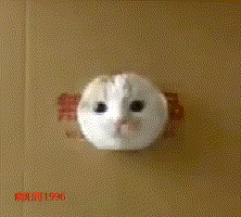 当前位置: 姐夫酷 ></p></a> 动态图 > 搞笑 > 最佳抢镜[好网