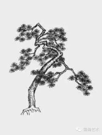 图文教程松树的画法