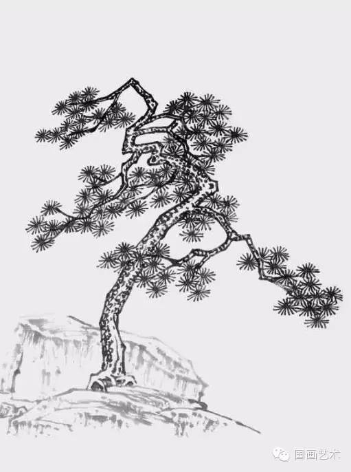 图文教程松树的画法