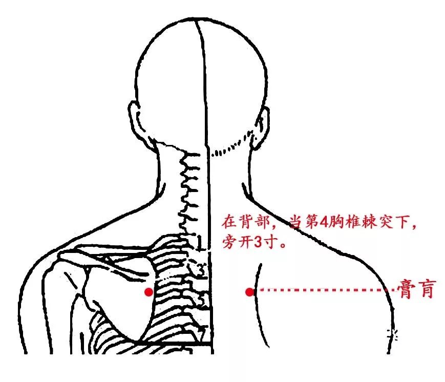 运动膏肓穴,去除一身疾(4大调理法)