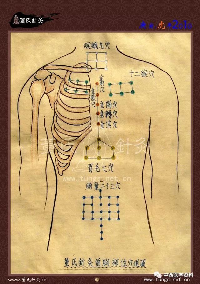 董氏奇穴特针赋及穴位图谱大全