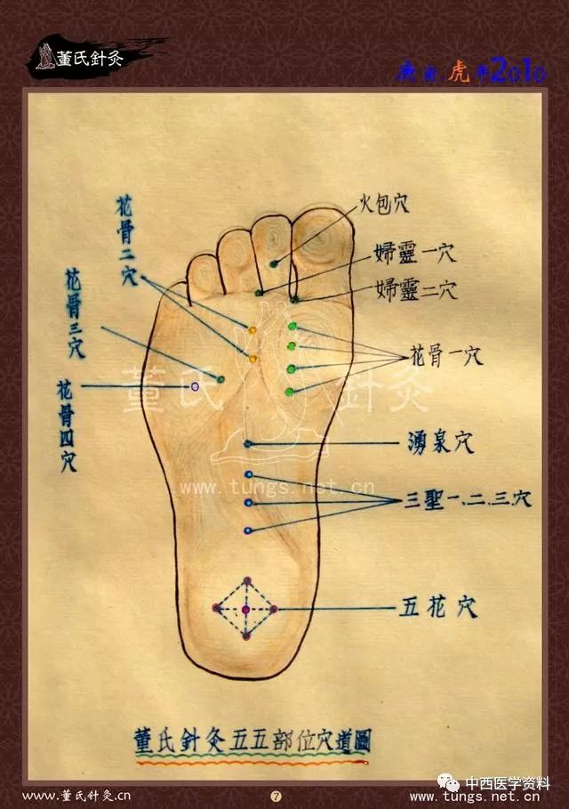 董氏奇穴特针赋及穴位图谱大全