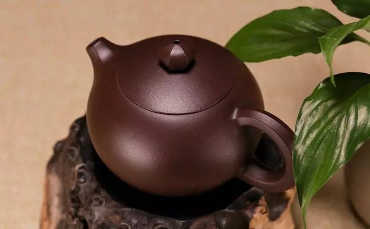 西施壶的来历及特点