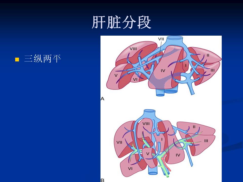 【ppt】正常肝脏ct解剖 影像ppt