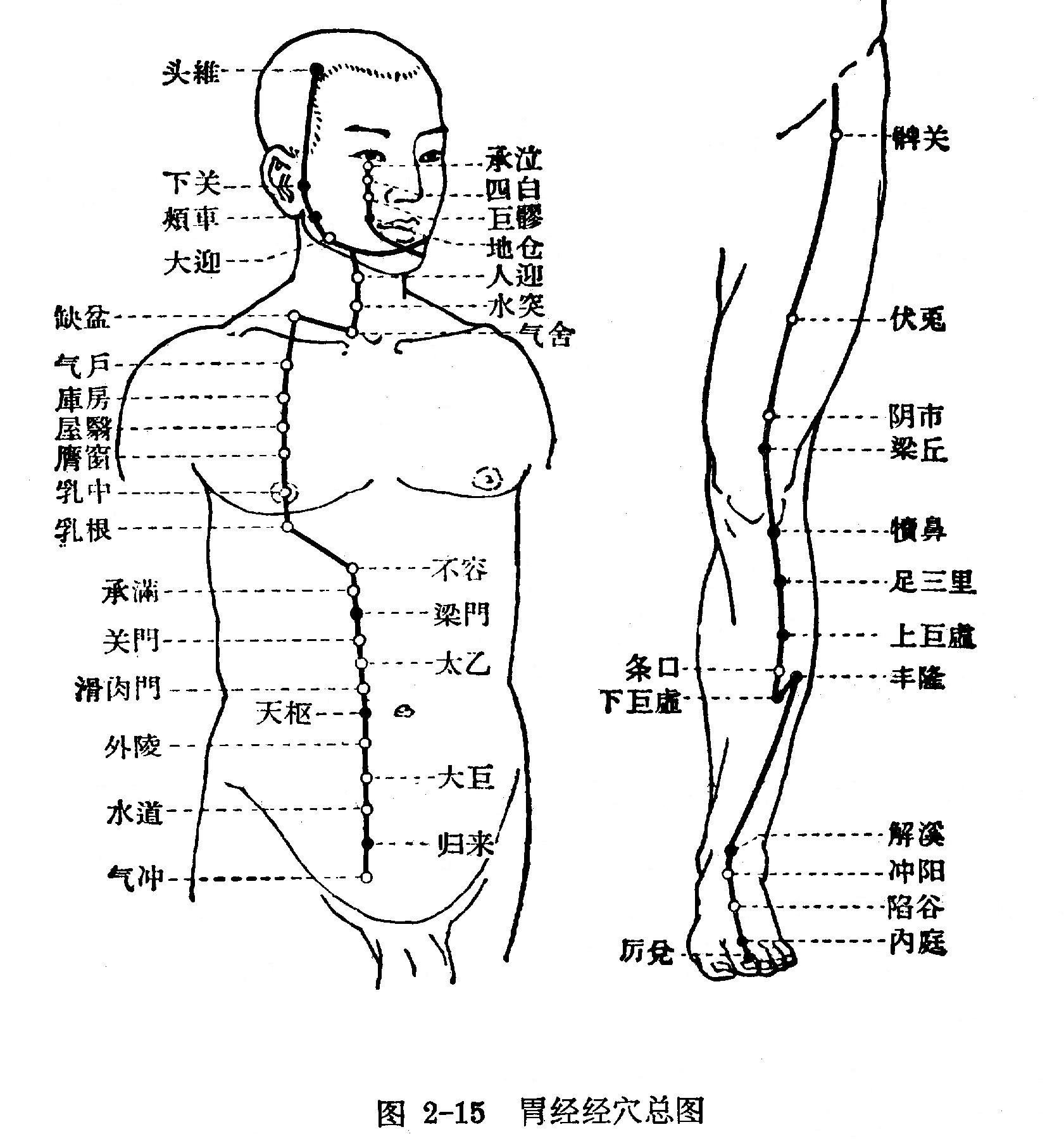 人体经络救命穴位