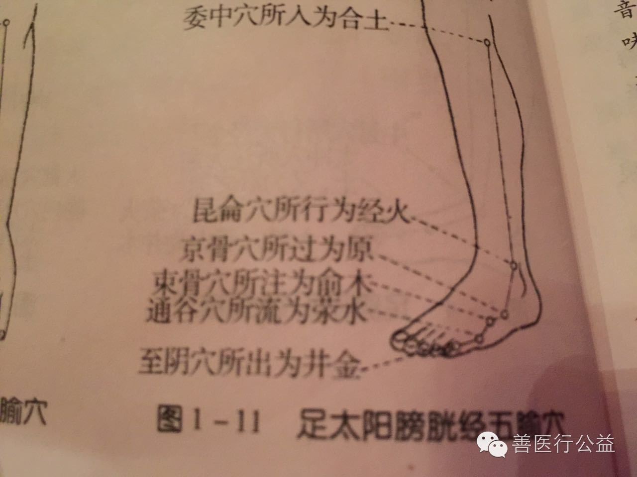 观涨——咏手太阳小肠经五腧穴 浮萍少泽任东西,前谷渊源绕后溪, 腕骨