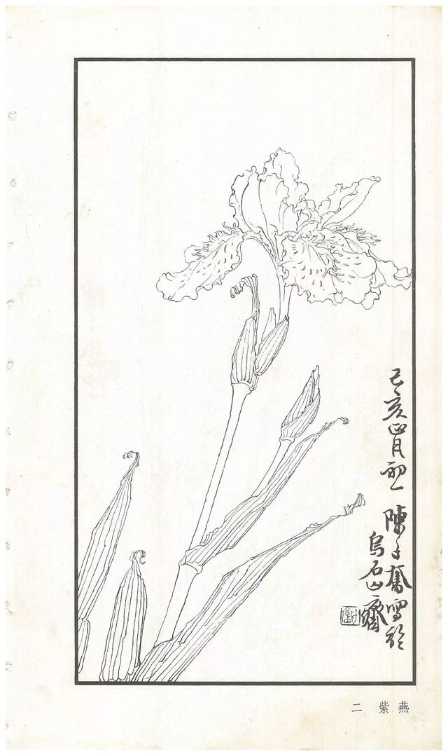 《陈子奋白描花卉册》图赏(多图)