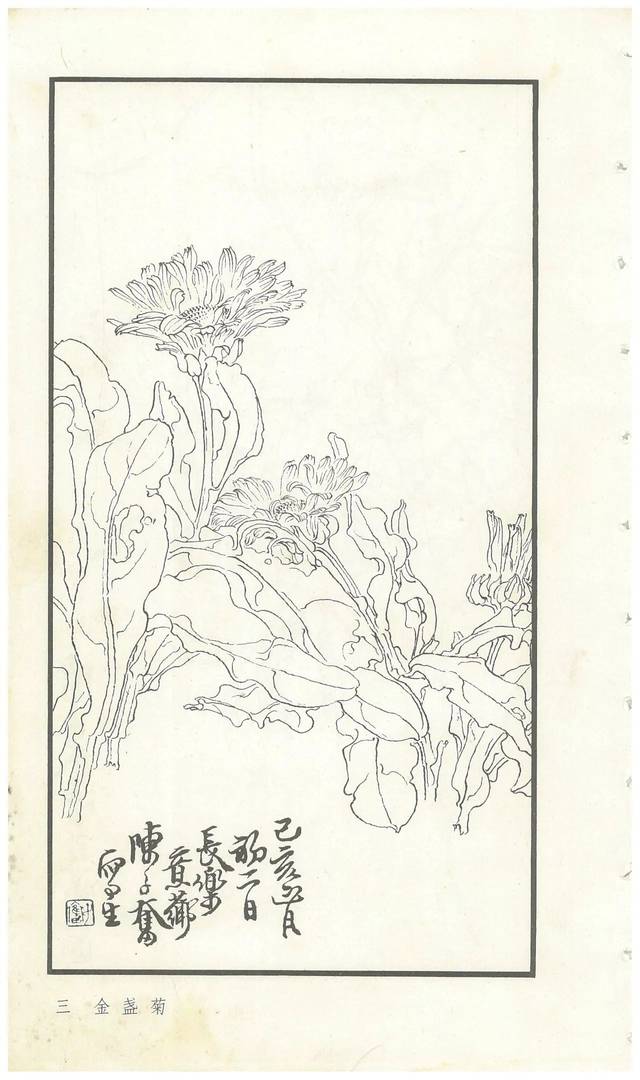 《陈子奋白描花卉册》图赏(多图)