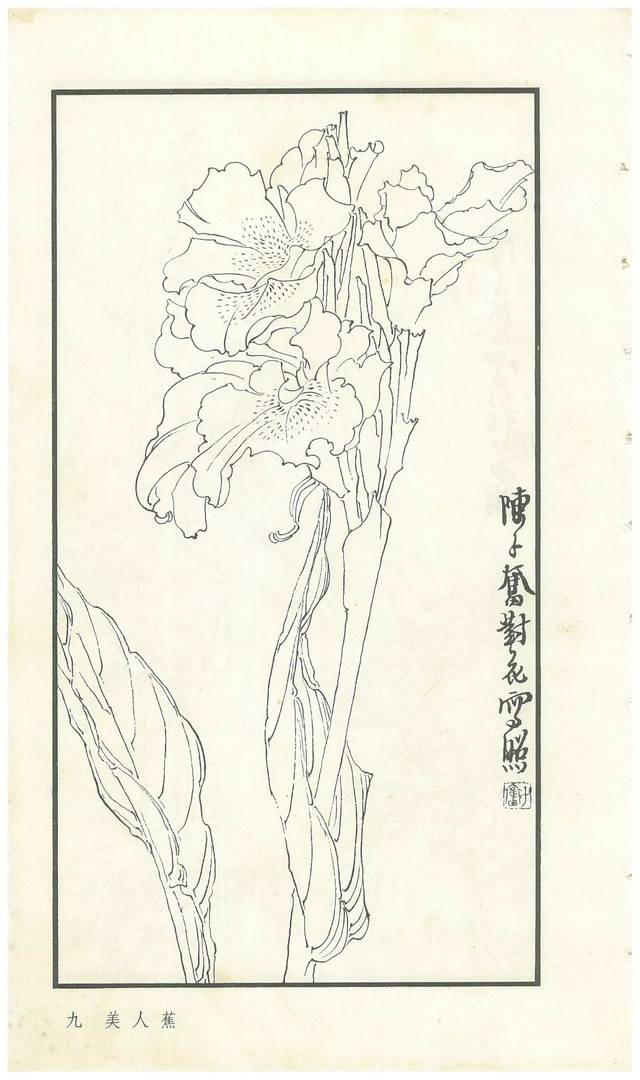 《陈子奋白描花卉册》图赏(多图)