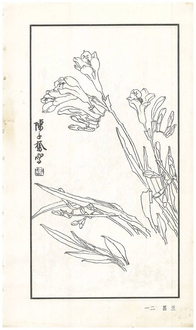 《陈子奋白描花卉册》图赏(多图)