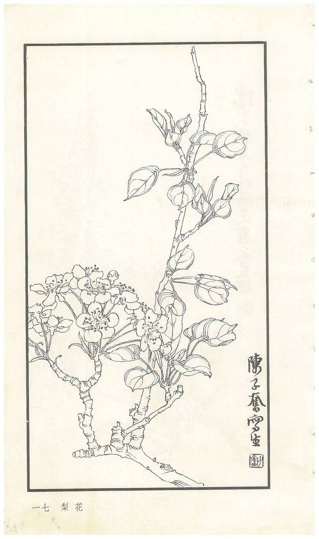 《陈子奋白描花卉册》图赏(多图)