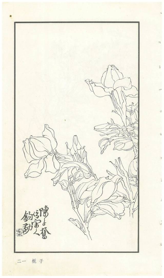 《陈子奋白描花卉册》图赏(多图)