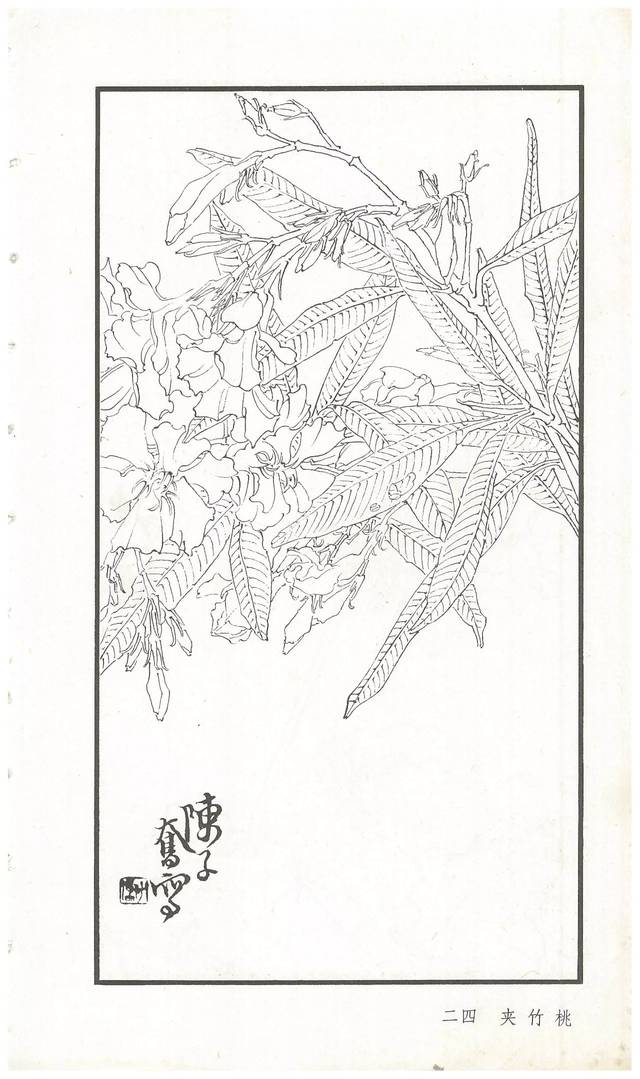 《陈子奋白描花卉册》图赏(多图)