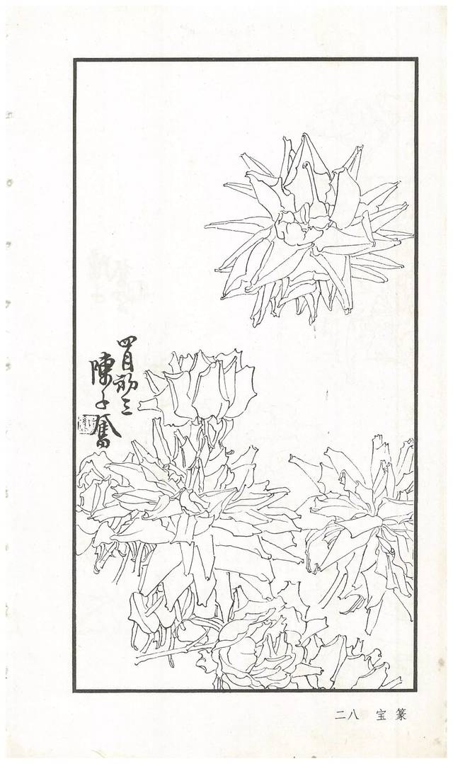 《陈子奋白描花卉册》图赏(多图)