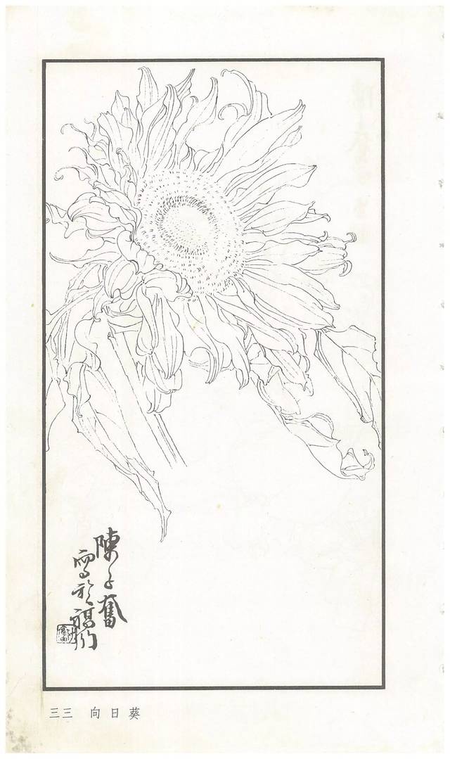 《陈子奋白描花卉册》图赏(多图)