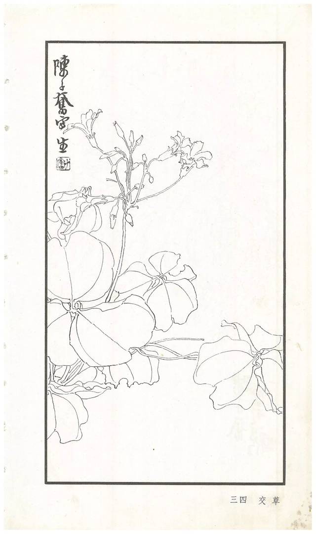 《陈子奋白描花卉册》图赏(多图)