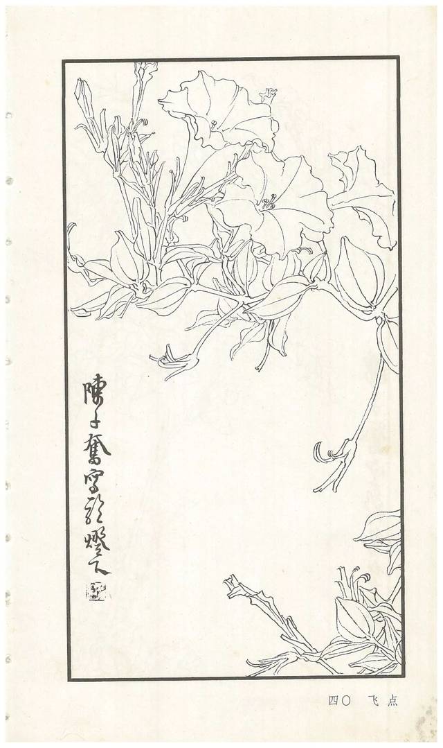 《陈子奋白描花卉册》图赏(多图)