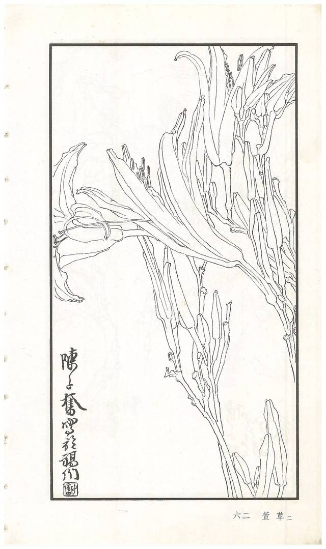 《陈子奋白描花卉册》图赏(多图)