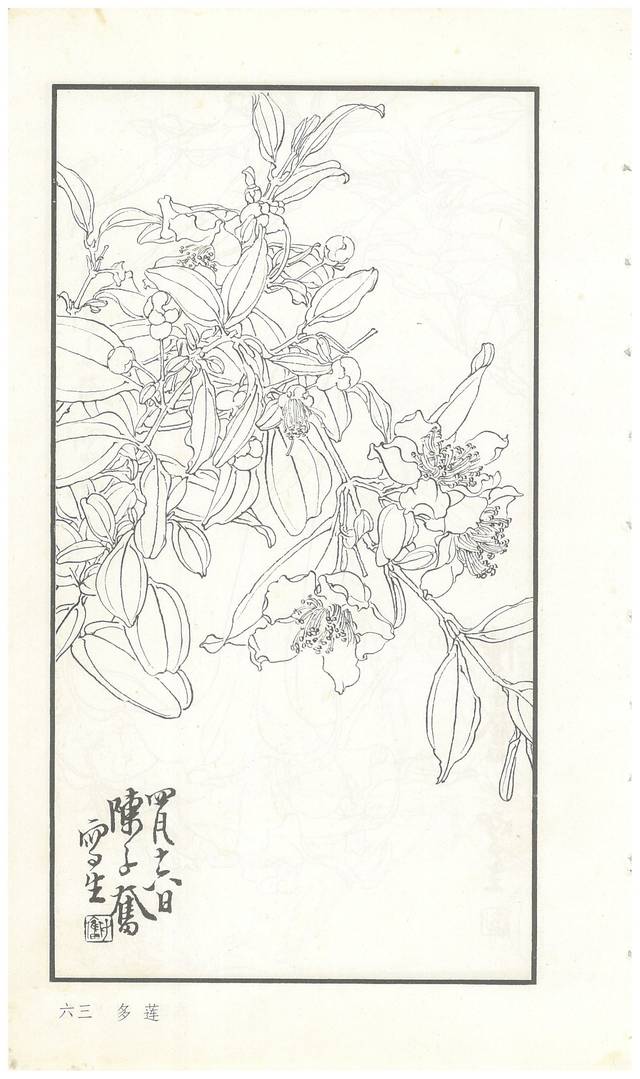 《陈子奋白描花卉册》图赏(多图)