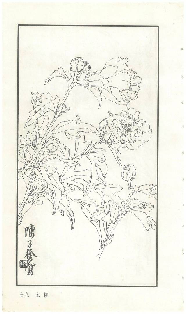 《陈子奋白描花卉册》图赏(多图)